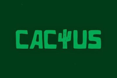 cactus casino